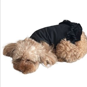 The Dog Squad Black Ruffle Dress